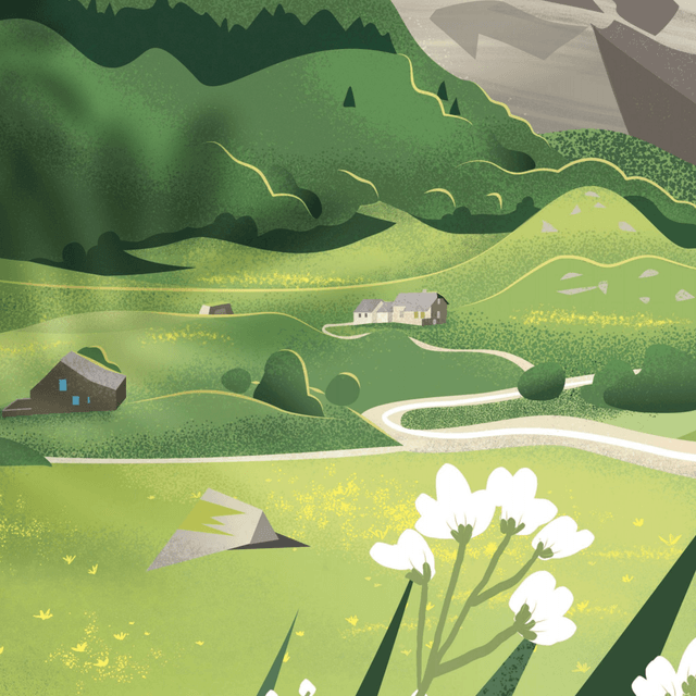 Affiche Col du Somport, Pic d'Aspe, vallée d'Aspe 30x40
